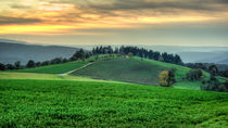 Abendstimmung im Taunus 83 von Erhard Hess