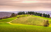 Taunus bei Presberg 07 von Erhard Hess