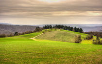 Taunus bei Presberg 04 von Erhard Hess