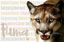 Puma - Schöpft Kraft im Alleinsein von Astrid Ryzek