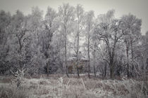 Winterlandschaft mit altem Bauernhaus und Raureif bei Stockach im Hegau von Christine Horn