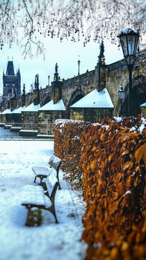 Snow Under the Charles Bridge von Tomas Gregor