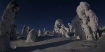 Eisskulpturen im Mondlicht by Bernd Pröschold