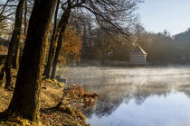 Idylle am Weiher von Thomas Schulz