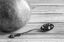 Pomegranate and Seeds BW von Elisabeth  Lucas