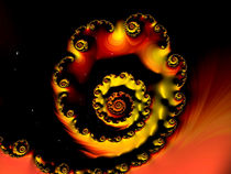 Fire Spiral von Elisabeth  Lucas