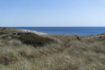 Dünen auf Sylt by Heidi Bollich