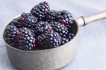 Blackberries von Elisabeth  Lucas