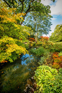 Streamside by Colin Metcalf