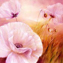 Weißer Mohn by Annette Schmucker