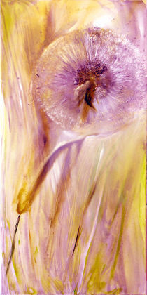 Pusteblume von Annette Schmucker