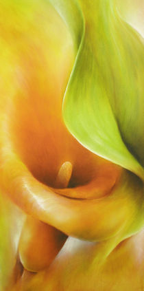 Calla und Blatt von Annette Schmucker