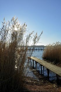 Am See von Claudia Evans