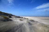 Wangerooger Dünenlandschaft von Jens Uhlenbusch