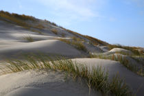 Wangerooge Dünen von Jens Uhlenbusch