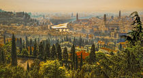 Verona Panorama von Colin Metcalf