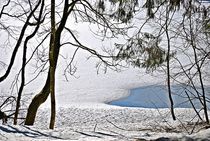 Spätwinter am Spitzingsee... 14 von loewenherz-artwork