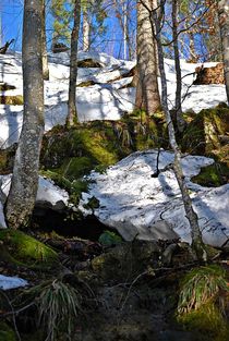 Spätwinter am Spitzingsee... 7 von loewenherz-artwork