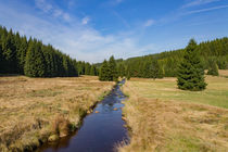 Herbst im Schwarzwassertal von André Lanzke