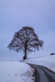 Winterlandschaft by Simone Rein
