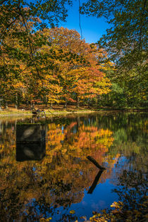 Herbstlicher Teich von Simone Rein