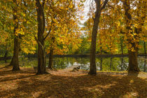 Herbstlicher Teich von Simone Rein