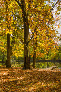 Herbstlicher Teich by Simone Rein