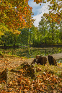 Herbstlicher Teich by Simone Rein