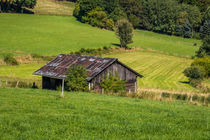 Sommerlandschaft von Simone Rein