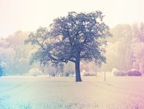 Baum - Tree - minimalistisch by vogtart