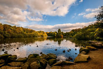 Golden Acre Park by Colin Metcalf