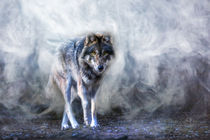 ein Wolf im Nebelwald von daoart