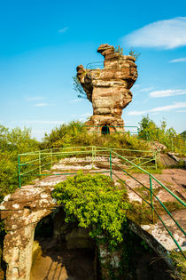 Drachenfels - Backenzahn 17 by Erhard Hess