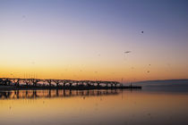 Wintermorgen an der Radolfzeller Mole - Bodensee by Christine Horn