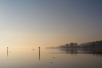 Der Zeller See bei Iznang im Morgenlicht - Halbinsel Höri - Bodensee von Christine Horn
