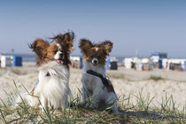 Ein Tag am Strand / 4 von Heidi Bollich