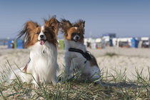 Ein Tag am Strand / 6 von Heidi Bollich