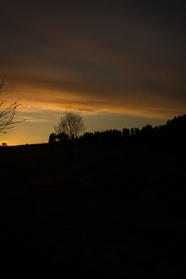 Abendstimmung von Simone Rein