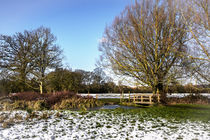 A Cold Morning in Tidmarsh Meadows von Ian Lewis