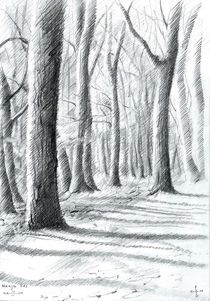 The Hague Forest - 13-03-14 von Corne Akkers