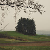 Mystisches Waldviertel by Christian Handler