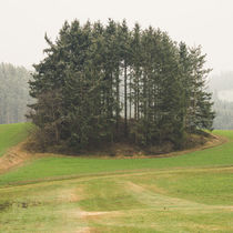 Mystisches Waldviertel 2019 von Christian Handler