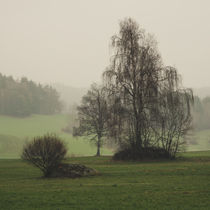 Mystisches Waldviertel 2019 by Christian Handler