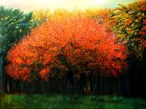 Autumn tree at Laren (2013) by Corne Akkers