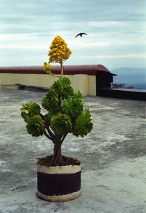 On Top  von Edgar Lück