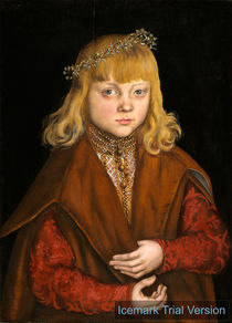 Lucas Cranach the Elder, A Prince of Saxony, c. 1517, oil on panel by artokoloro