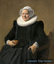 Frans Hals, Portrait of an Elderly Lady von artokoloro