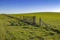 Fence in the countryside von Steve Mantell