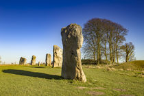 Prehistoric stone circles by Steve Mantell