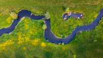 Meandering Water Stream, Prague by Tomas Gregor